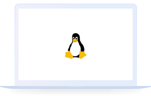 Linux版