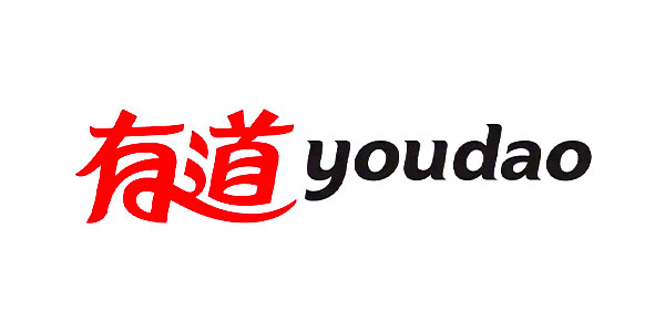 有道翻译离线功能在 10 个国家的表现如何